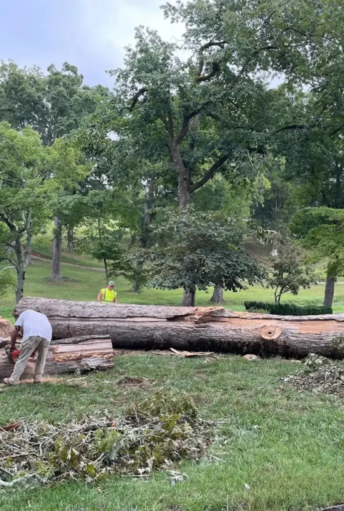 worker-in-bucket-truck