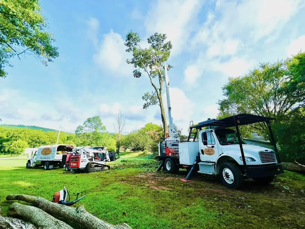 WC timber trucks in field